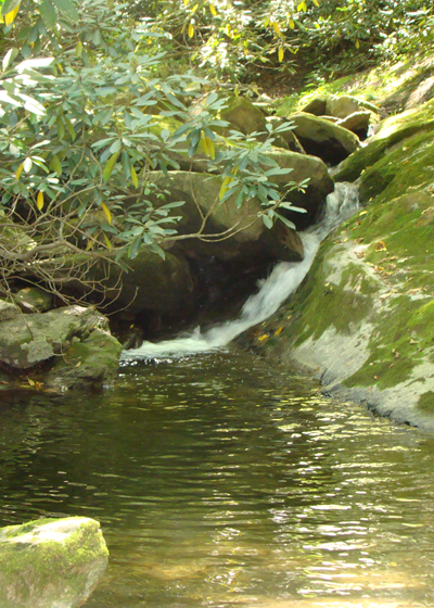 Stream Across Lane